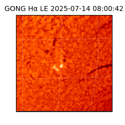 gong - 2025-07-14T08:00:42