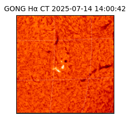 gong - 2025-07-14T14:00:42