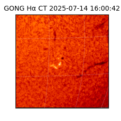 gong - 2025-07-14T16:00:42