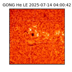 gong - 2025-07-14T04:00:42
