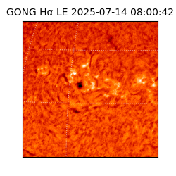 gong - 2025-07-14T08:00:42
