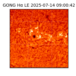 gong - 2025-07-14T09:00:42