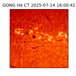 gong - 2025-07-14T16:00:42
