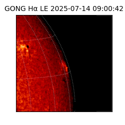 gong - 2025-07-14T09:00:42
