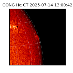 gong - 2025-07-14T13:00:42