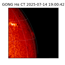 gong - 2025-07-14T19:00:42