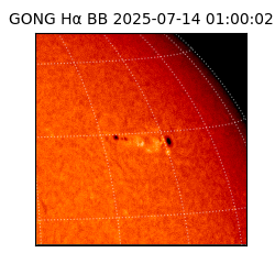 gong - 2025-07-14T01:00:02
