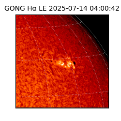 gong - 2025-07-14T04:00:42