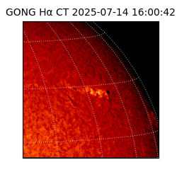 gong - 2025-07-14T16:00:42