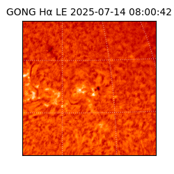 gong - 2025-07-14T08:00:42