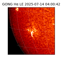 gong - 2025-07-14T04:00:42