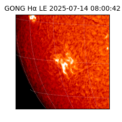 gong - 2025-07-14T08:00:42