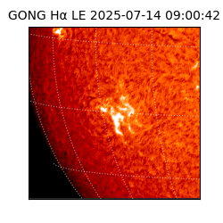 gong - 2025-07-14T09:00:42