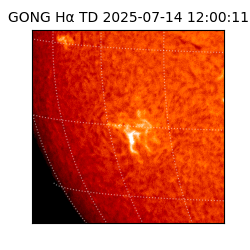 gong - 2025-07-14T12:00:11
