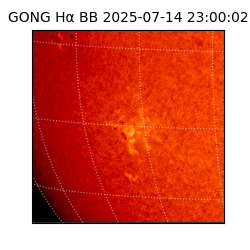 gong - 2025-07-14T23:00:02
