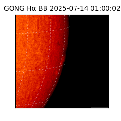 gong - 2025-07-14T01:00:02