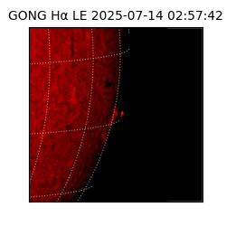 gong - 2025-07-14T02:57:42