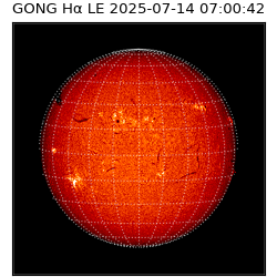 gong - 2025-07-14T07:00:42
