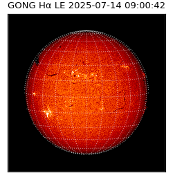 gong - 2025-07-14T09:00:42