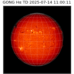 gong - 2025-07-14T11:00:11