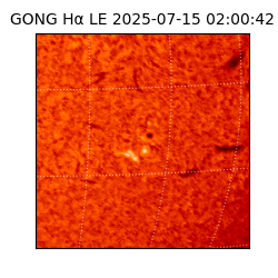 gong - 2025-07-15T02:00:42
