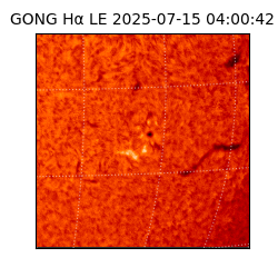gong - 2025-07-15T04:00:42