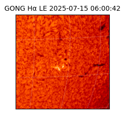 gong - 2025-07-15T06:00:42