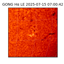 gong - 2025-07-15T07:00:42