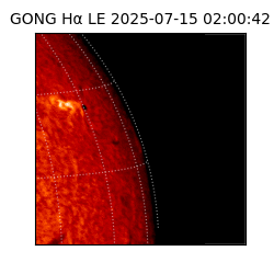 gong - 2025-07-15T02:00:42