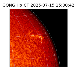 gong - 2025-07-15T15:00:42