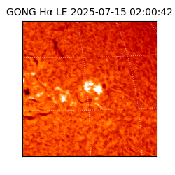 gong - 2025-07-15T02:00:42