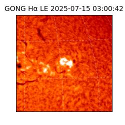 gong - 2025-07-15T03:00:42