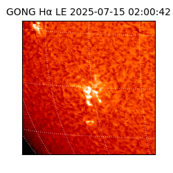 gong - 2025-07-15T02:00:42