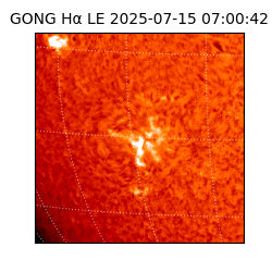gong - 2025-07-15T07:00:42