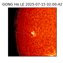 gong - 2025-07-15T02:00:42