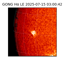 gong - 2025-07-15T03:00:42