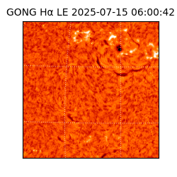 gong - 2025-07-15T06:00:42