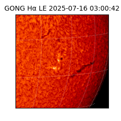 gong - 2025-07-16T03:00:42