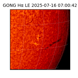 gong - 2025-07-16T07:00:42