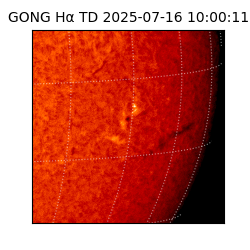 gong - 2025-07-16T10:00:11
