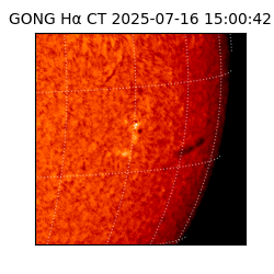 gong - 2025-07-16T15:00:42