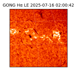 gong - 2025-07-16T02:00:42