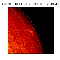 gong - 2025-07-16T02:00:42