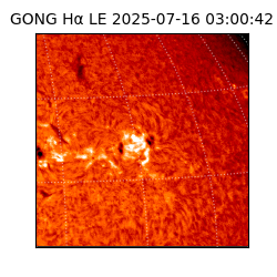 gong - 2025-07-16T03:00:42