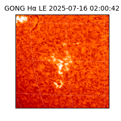 gong - 2025-07-16T02:00:42