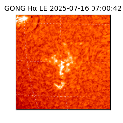 gong - 2025-07-16T07:00:42