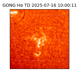 gong - 2025-07-16T10:00:11