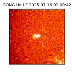 gong - 2025-07-16T02:00:42