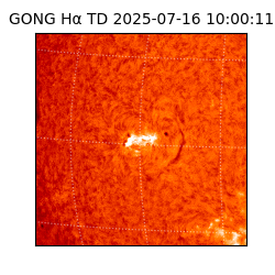 gong - 2025-07-16T10:00:11
