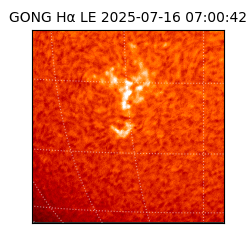 gong - 2025-07-16T07:00:42